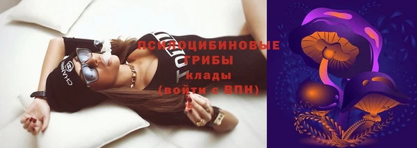 тгк Осинники