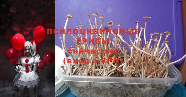 ГАЛЛЮЦИНОГЕННЫЕ ГРИБЫ Алзамай