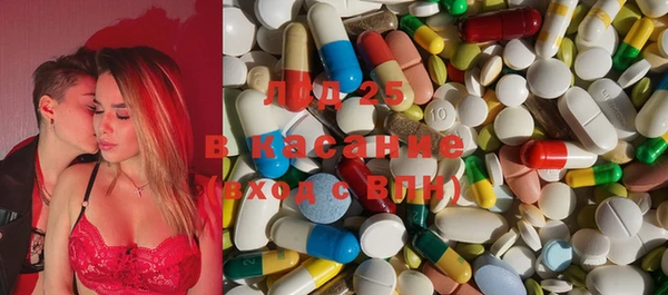 ГАЛЛЮЦИНОГЕННЫЕ ГРИБЫ Алзамай